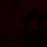 Video 4