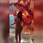 Video 3