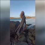 Video 2
