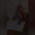 Video 4