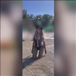 Video 3