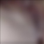 Video 4