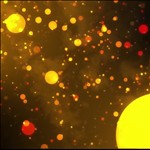 Video 4