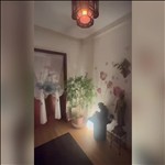 Video 2
