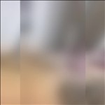 Video 4