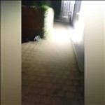 Video 4