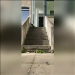 Video 2