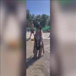 Video 3