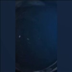 Video 4