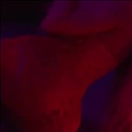 Video 2