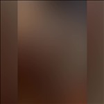 Video 4